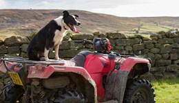 Cumbria: Time and time again – so, what's the plan?